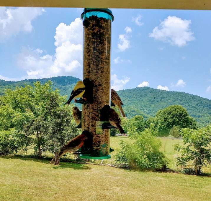 Villa Country Mountain Escape! Barnardsville Esterno foto