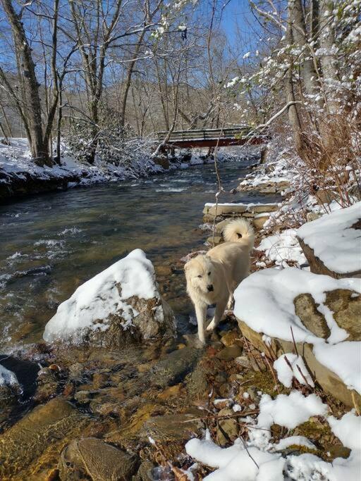Villa Country Mountain Escape! Barnardsville Esterno foto