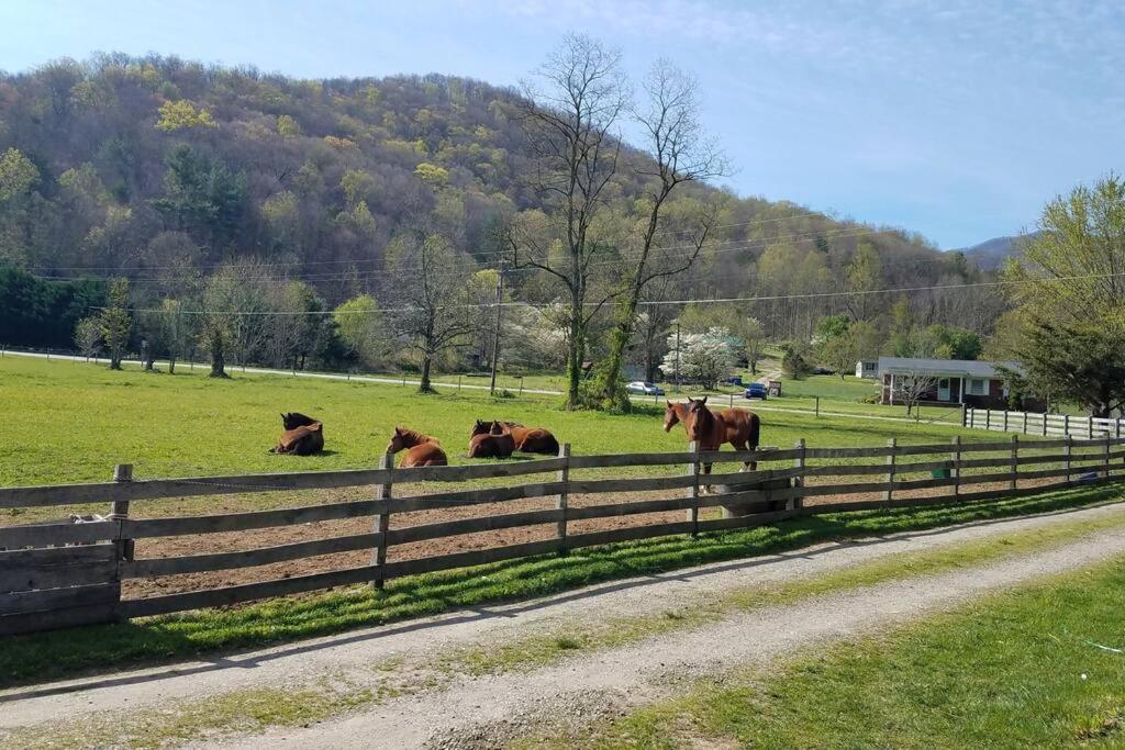 Villa Country Mountain Escape! Barnardsville Esterno foto