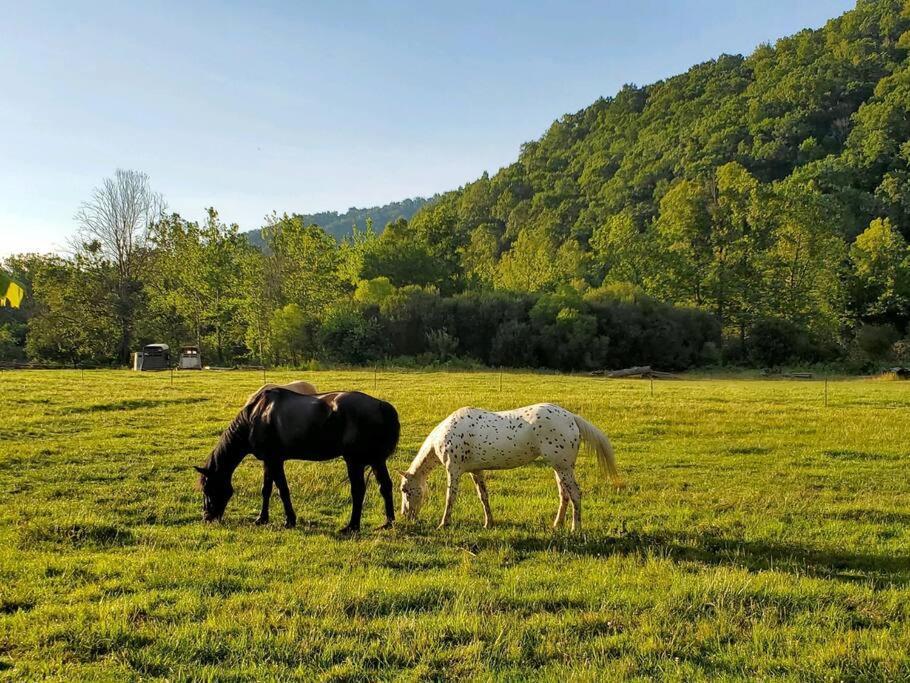 Villa Country Mountain Escape! Barnardsville Esterno foto